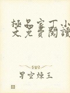 极品家丁小说全文免费阅读