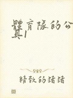 体育队的公用玩具1