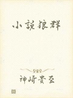 小说狼群封面