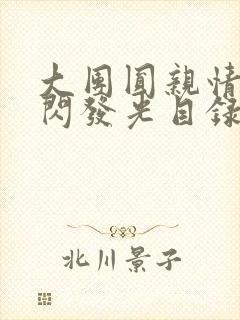 大团圆亲情会闪闪发光目录