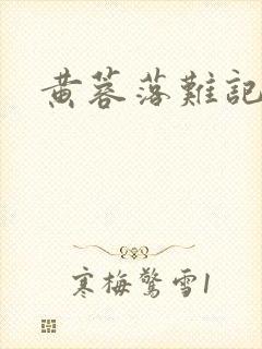 黄蓉落难记封面