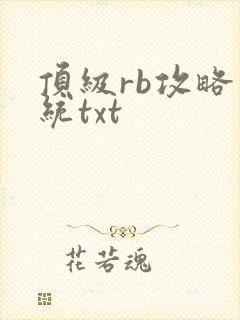 顶级rb攻略系统txt