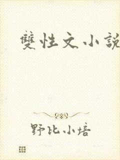 双性文小说封面