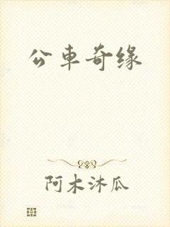 公车奇缘封面