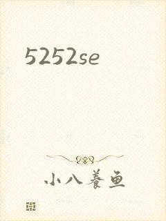5252se封面