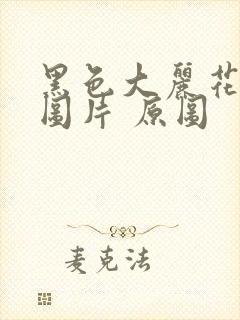 黑色大丽花真实图片 原图