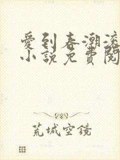 爱到春潮滚滚来小说免费阅读