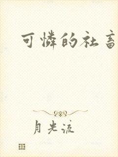 可怜的社畜
