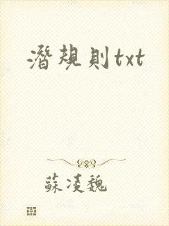 潜规则txt封面
