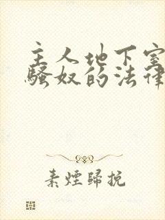 主人地下室惩罚骚奴的法律后果封面