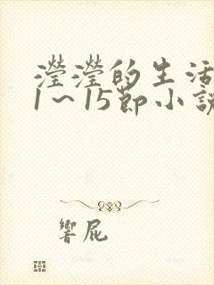 滢滢的生活日记1～15节小说封面