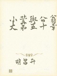 小莹与公翁熄粗大第五十章封面