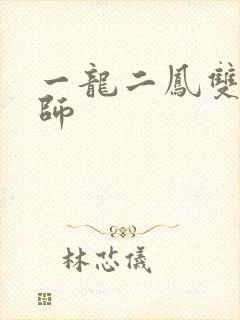 一龙二凤双飞老师封面