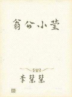 翁公小莹