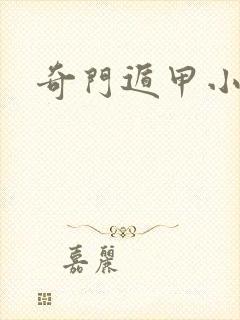 奇门遁甲小说封面