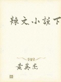 辣文小说下载