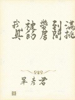 我被带到满是玩具的房间挑调作文