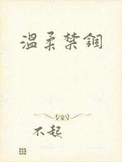 温柔禁锢封面