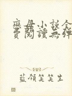 恋母小说全文免费阅读无弹窗笔趣阁封面