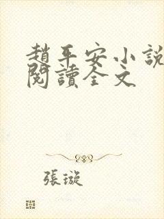 赵平安小说免费阅读全文封面
