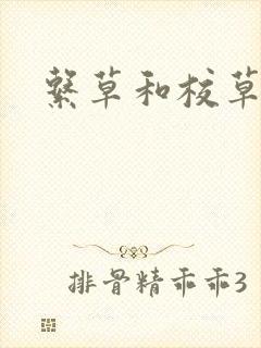 系草和校草