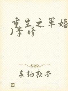 重生之军婚(h)李晴