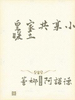 皇家共享小公主暖玉
