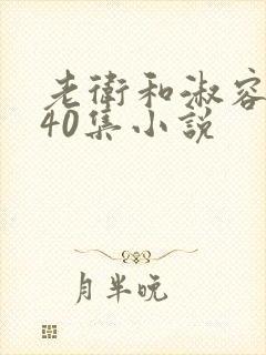 老卫和淑容1-40集小说封面