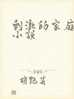 刺激的家庭乱仑小说