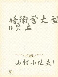 暗卫营大型hpn皇上