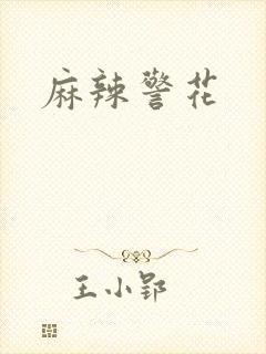 麻辣警花