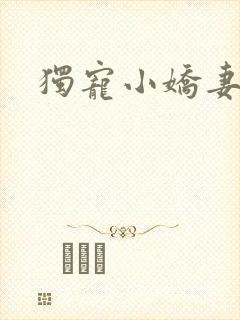 独宠小娇妻