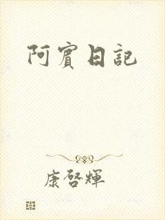阿宾日记封面