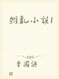杂乱小说1