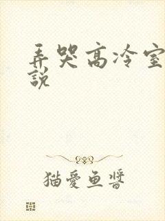 弄哭高冷室友小说封面