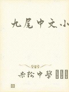 九尾中文小说网