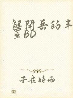 解开岳的丰满奶罩BD