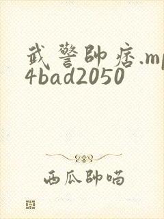 武警帅痞.mp4bad2050