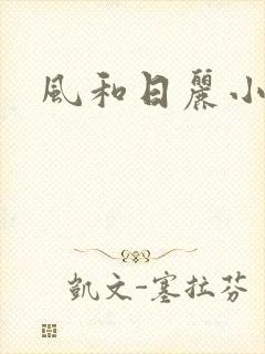 风和日丽小说