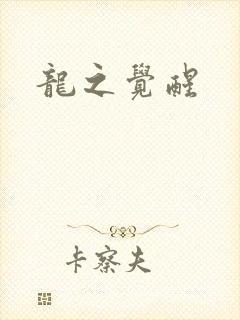龙之觉醒封面