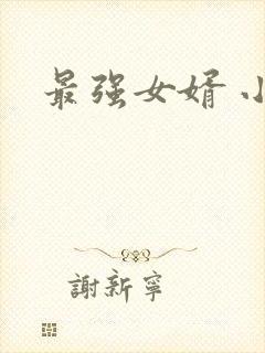 最强女婿 小说封面