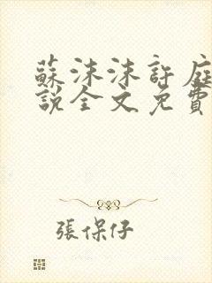 苏沫沫许庭川小说全文免费阅读封面