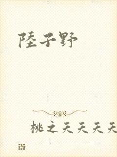 陆子野封面