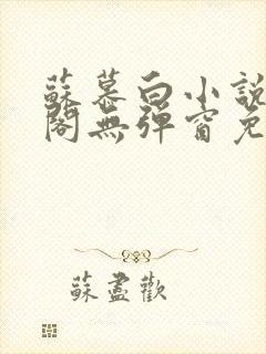 苏慕白小说笔趣阁无弹窗免费阅读