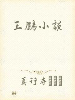 王鹏小说