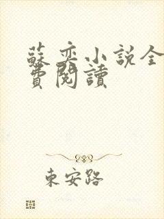 苏奕小说全文免费阅读