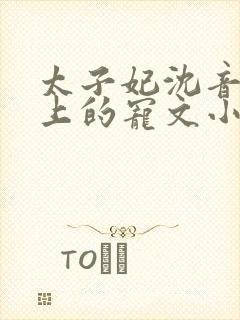 太子妃沈音和皇上的宠文小说
