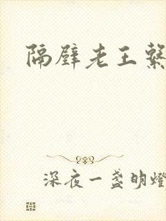 隔壁老王系统