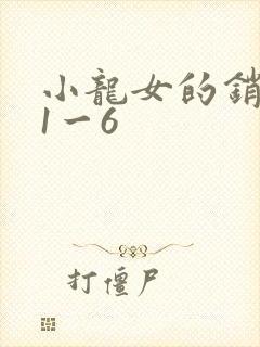 小龙女的销魂夜1一6封面