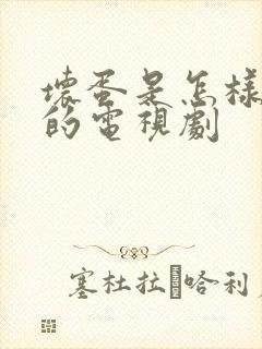 坏蛋是怎样炼成的电视剧封面